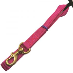 Leads