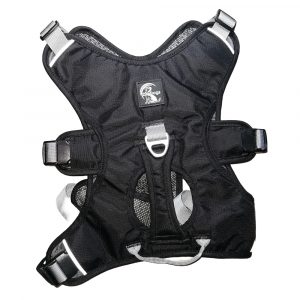 Large Black Harness 3 point Greyhound