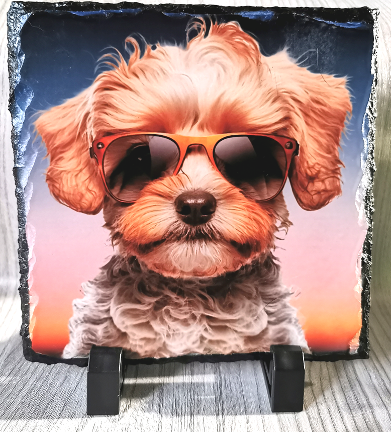Cool Dogs Golden Slate Standing Plaque 14cm x 14cm