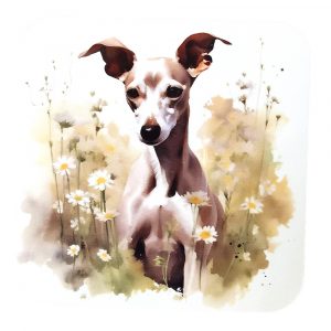 Whippet Coaster
