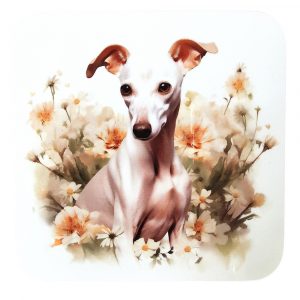 Whippet Coaster