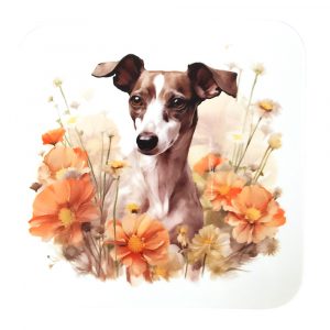 Whippet Coaster