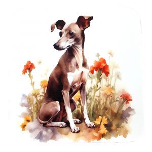 Whippet Coaster