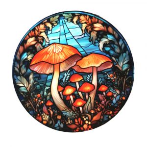 Orange Mushrooms Coaster