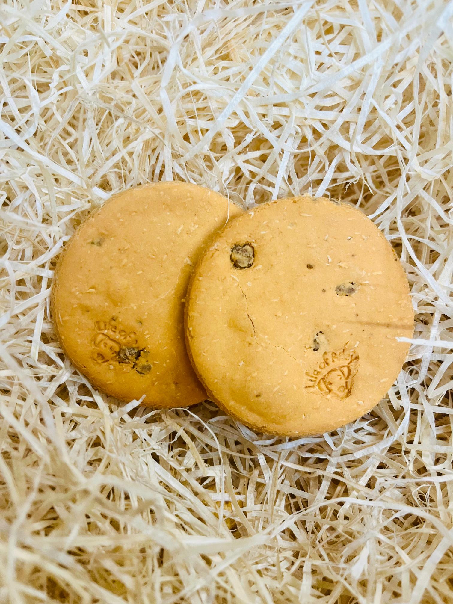 Choc Chip Cookies by Life of Riley Dog Treat