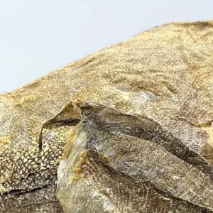 Fish Skins Dog Treat