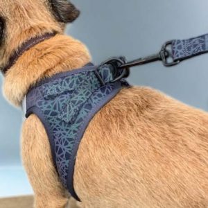 Reflective Harness Extra Small with Matching Lead