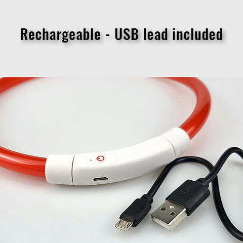 Rechargeable Light-Up Dog Safety Collars