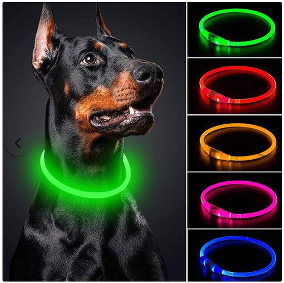 Rechargeable Light-Up Dog Safety Collars - Image 4