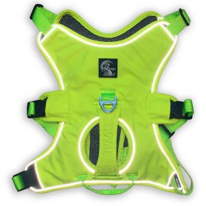 Large Hi Viz Yellow 3 Point Escape Proof Harness