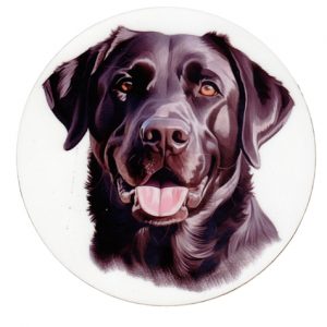 Labrador Black Coaster