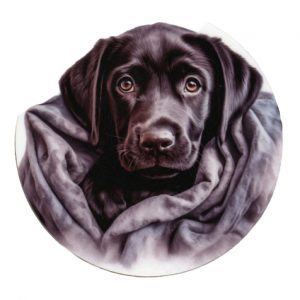 Labrador Puppy & Blanket Coaster