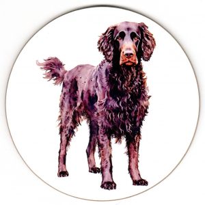 Retriever Curly Haired
