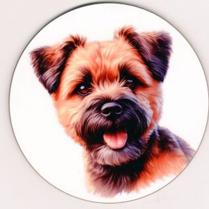 Border Terrier Coaster