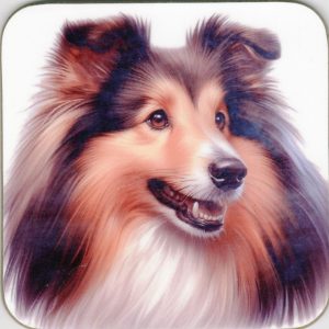 Sheltie Coaster