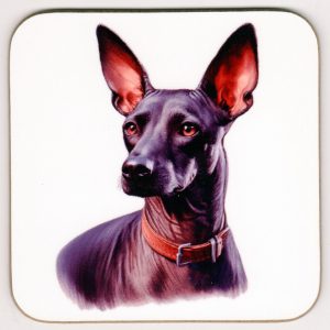 Mexican Hairless Coaster