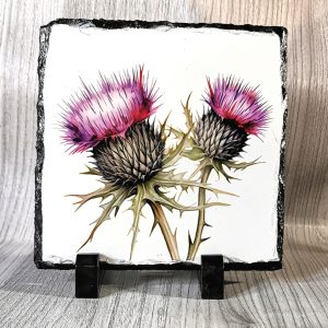 Purple Thistles Standing Slate Plaque 14cm x 14cm