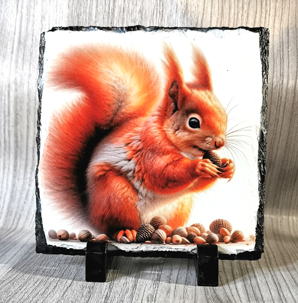 Red Squirrel Standing Slate Plaque 14cm x 14cm