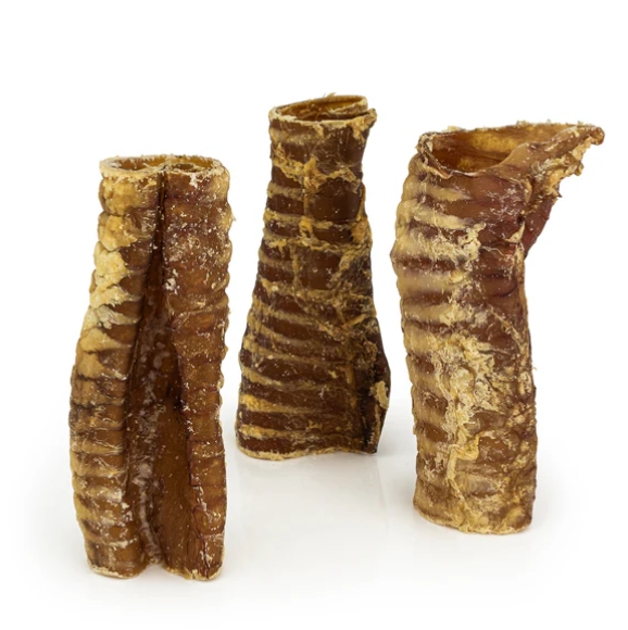 Beef Cut Trachea (each) Dog Treats