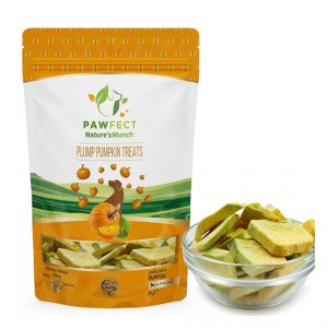 Mango Natural Single Ingredient Dog Treats