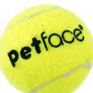 Bright Tennis Ball Dog Toy