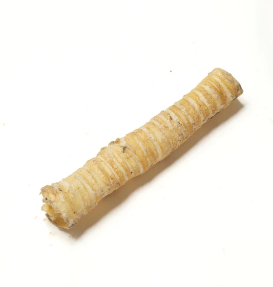 Beef Cut Trachea Long (each) Dog Treats