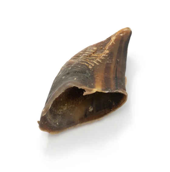 Beef Hooves Each Dog Treats