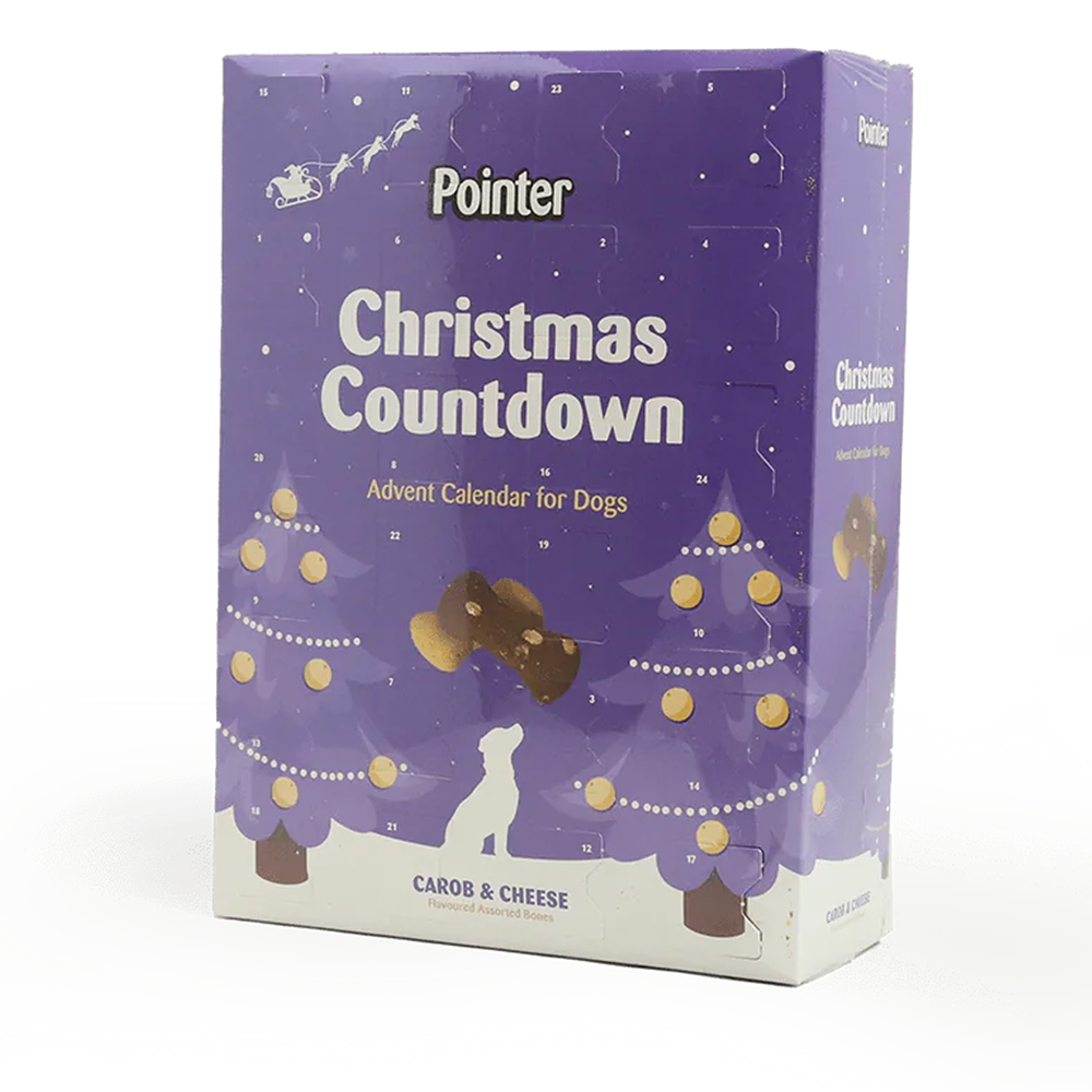 Dog Christmas Advent Calender Pointer 325g