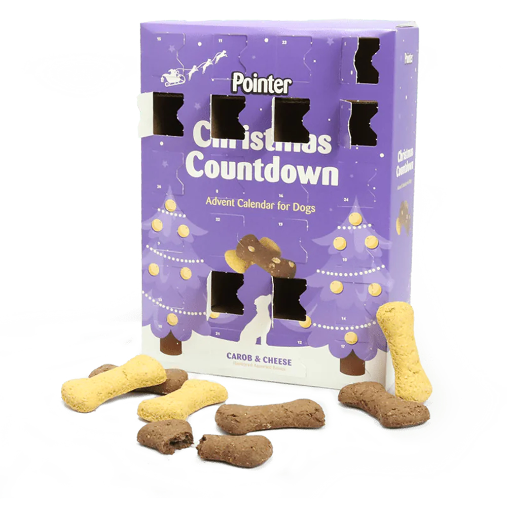 Dog Christmas Advent Calender Pointer 325g - Image 2