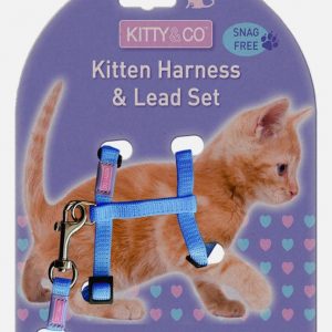 Kitty & Co Kitten Harness with Lead Aqua