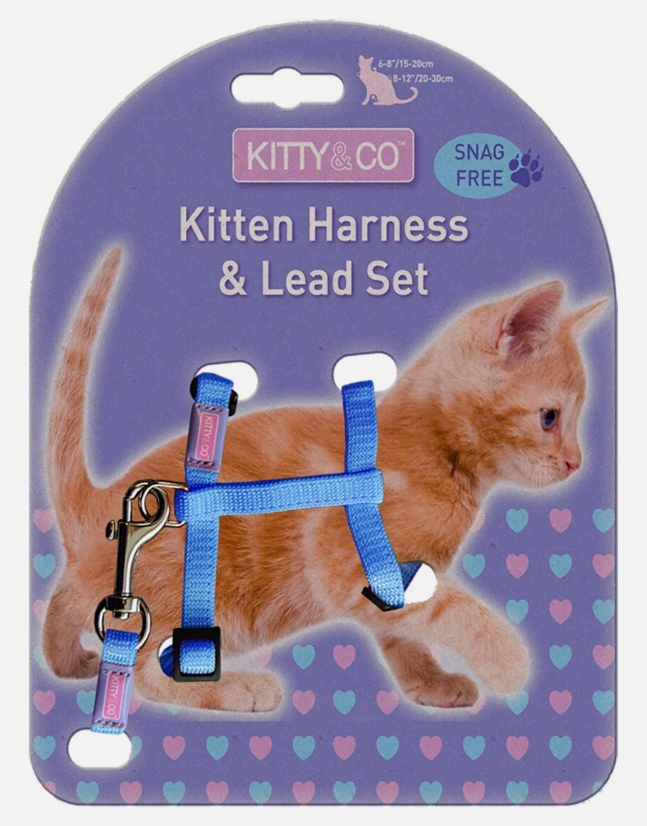 Kitty & Co Kitten Harness with Lead Aqua