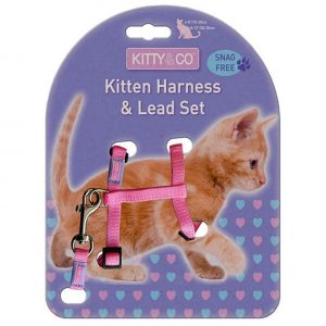 Kitty & Co Kitten Harness with Lead Pink