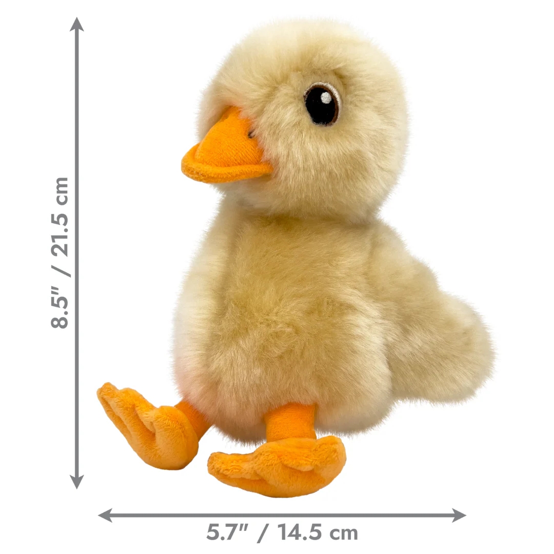 Kong Toughz Duck Dog Toy - Image 2
